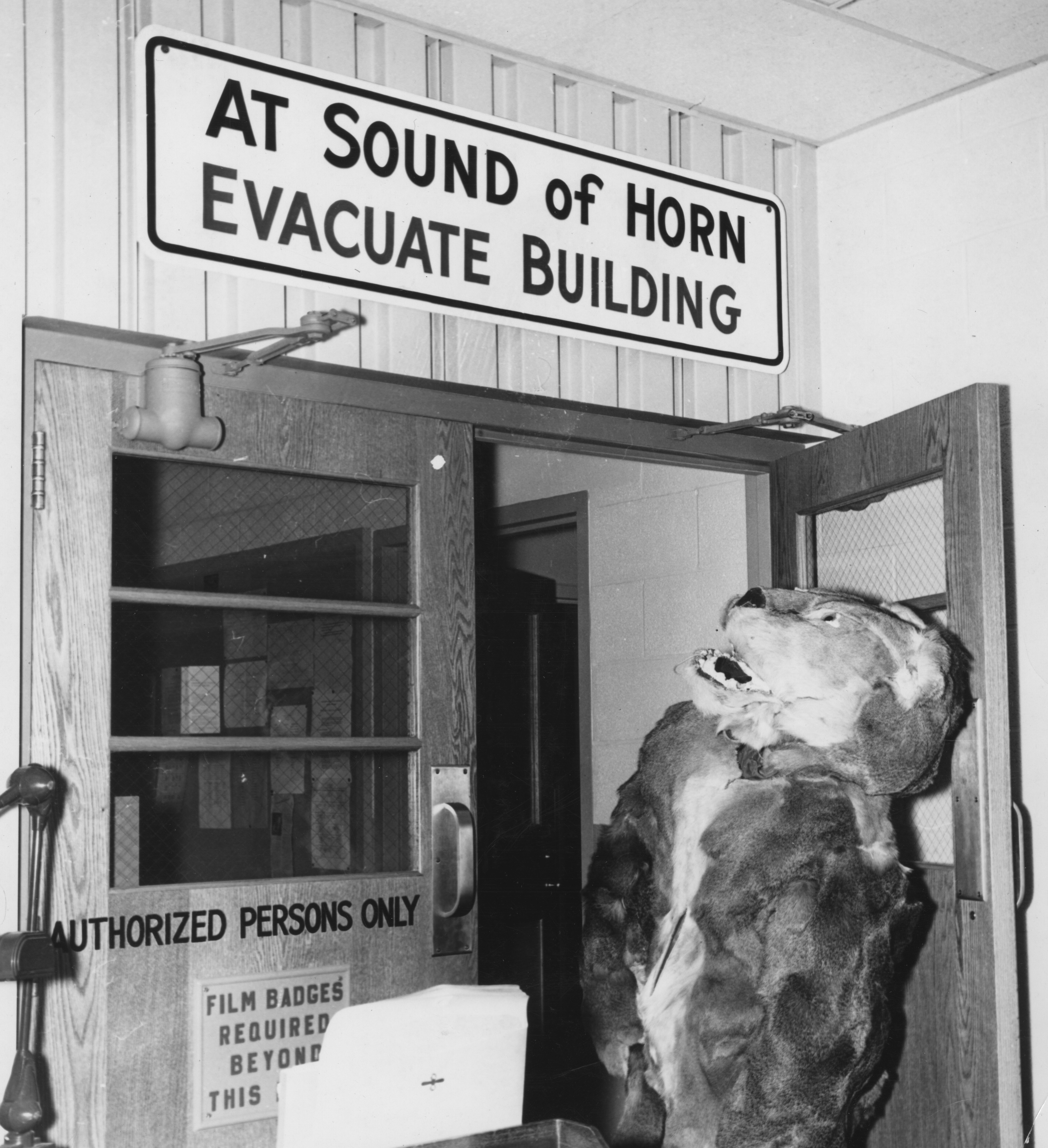 black and white photo of the Nittany Lion framed in a doorway under a sign that reads at the sound of horn evacuate building