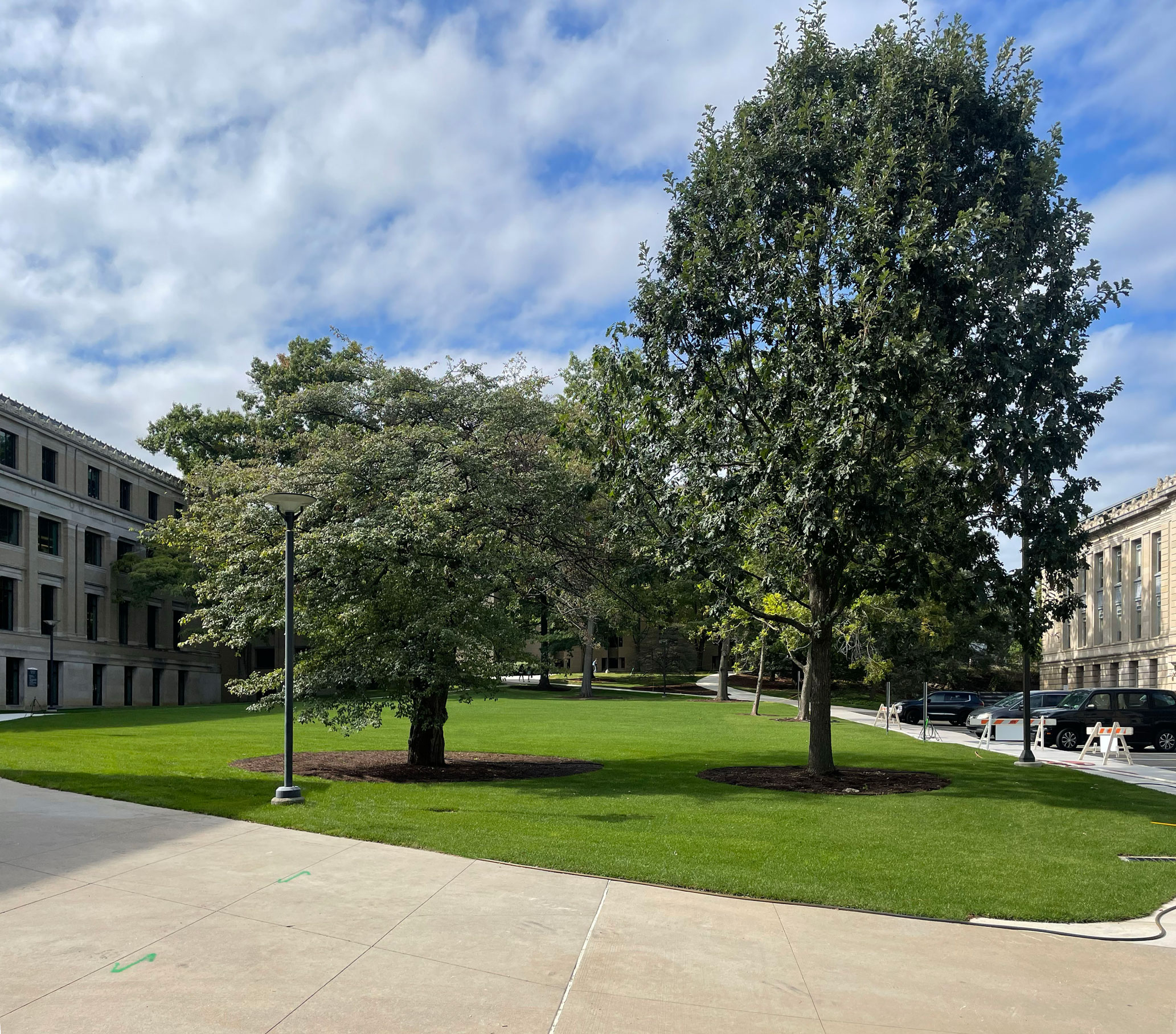 green space where Oswald Tower used to be, photo by Nick Sloff '92 A&A