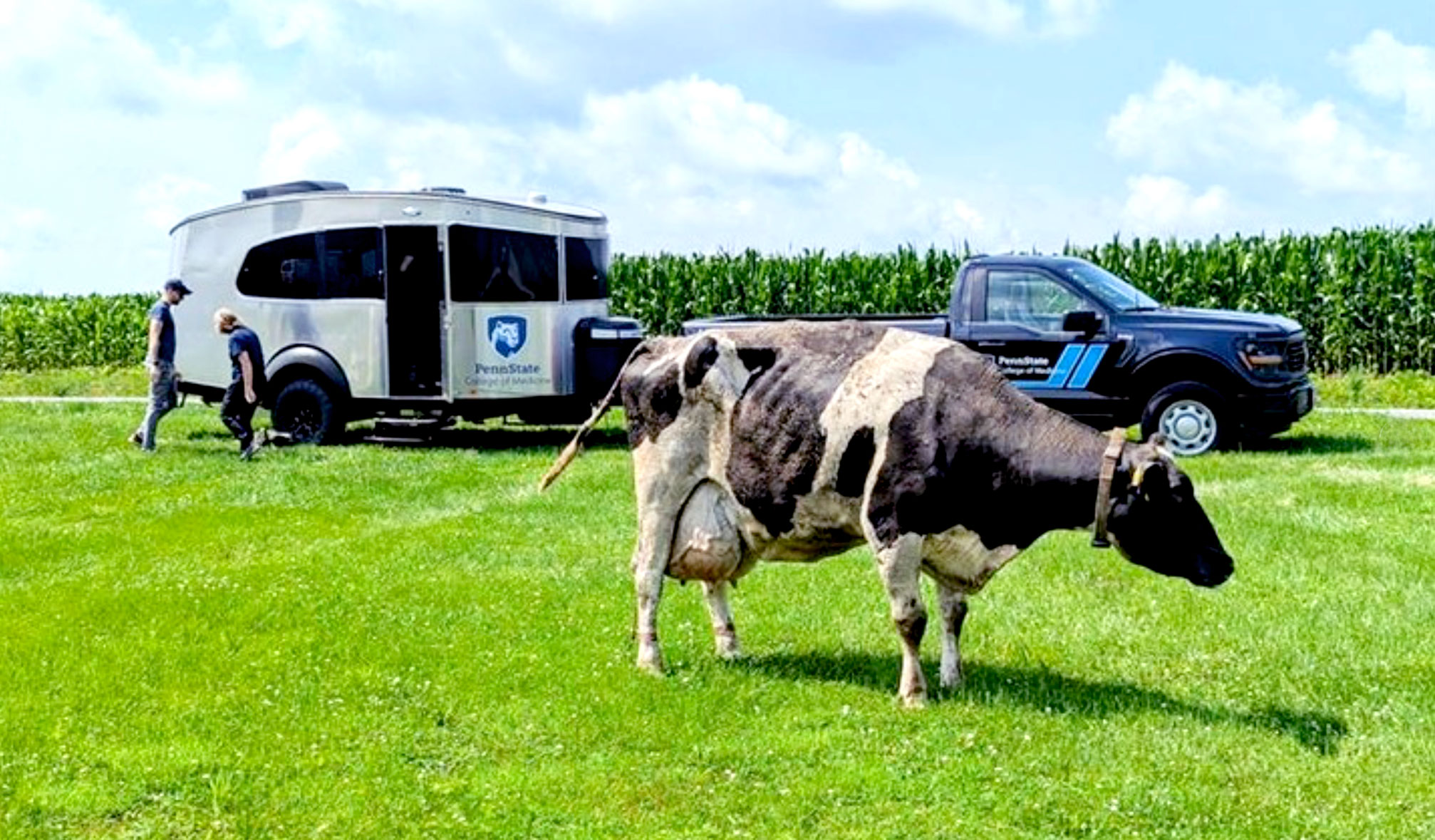 LION Mobile in a field with a cow, photo by Penn State College of Medicine