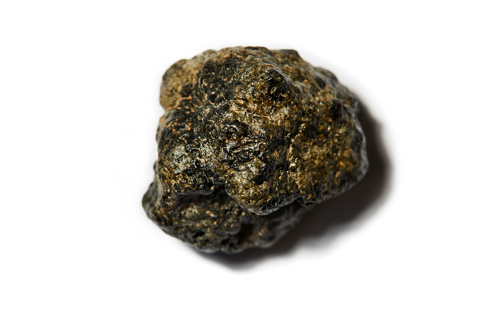 closeup of meteorite, photo by Steve Boyle