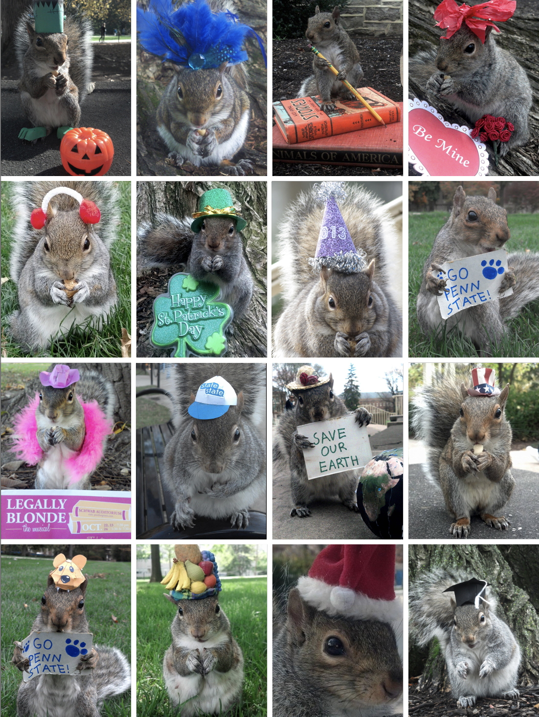 collage of the many homemade outfits of Sneezy the Squirrel