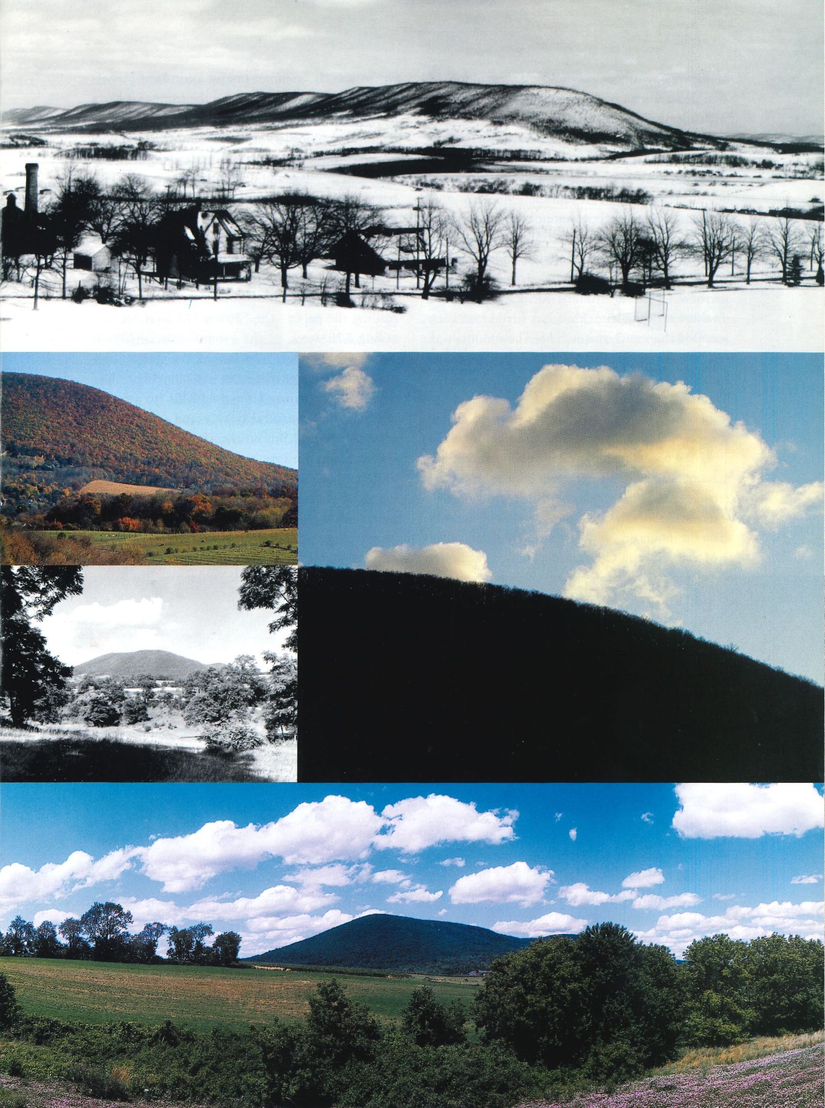 collage of five photographs of Mount Nittany by various photographers
