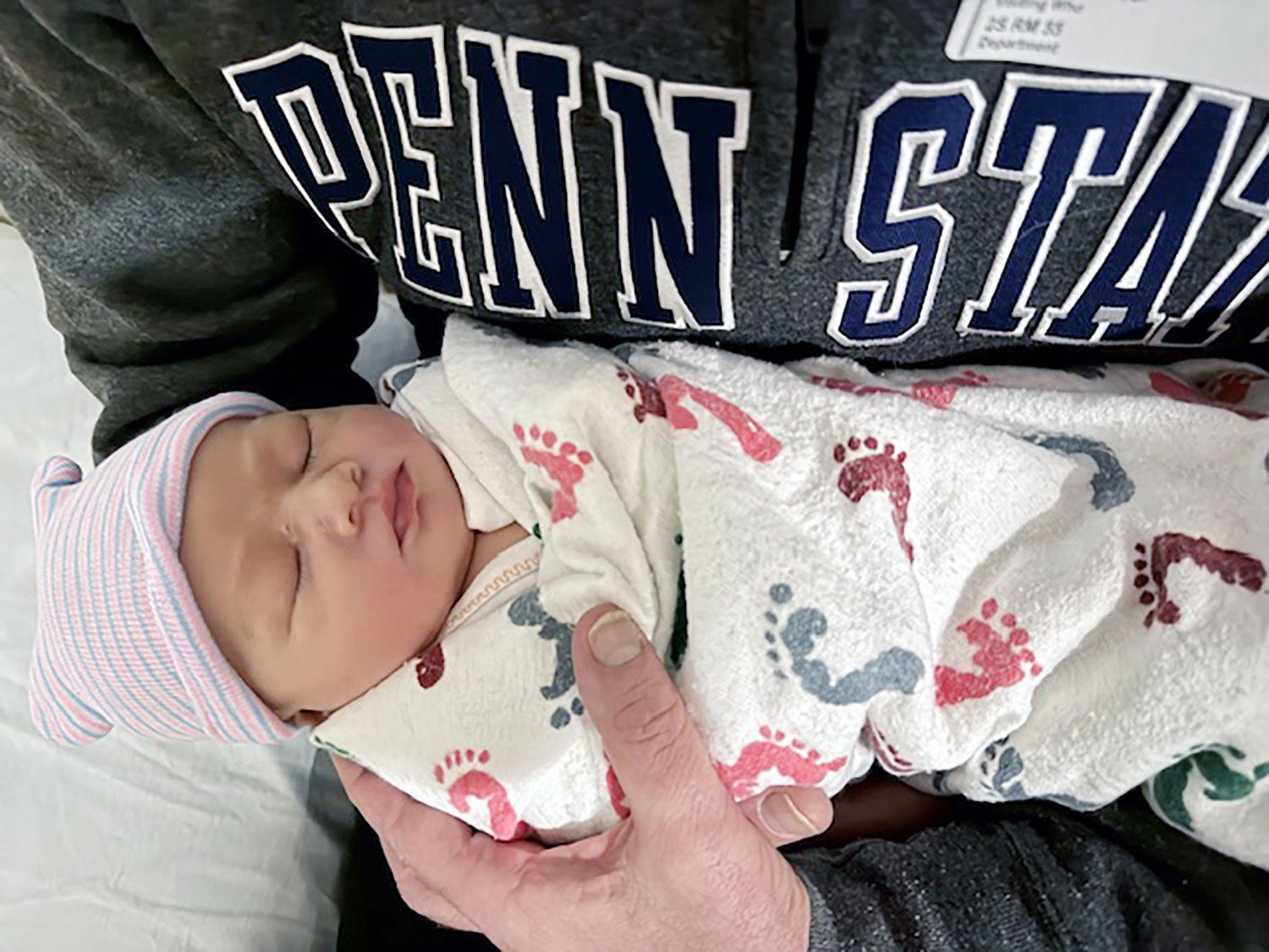 Wolf grandbaby, courtesy