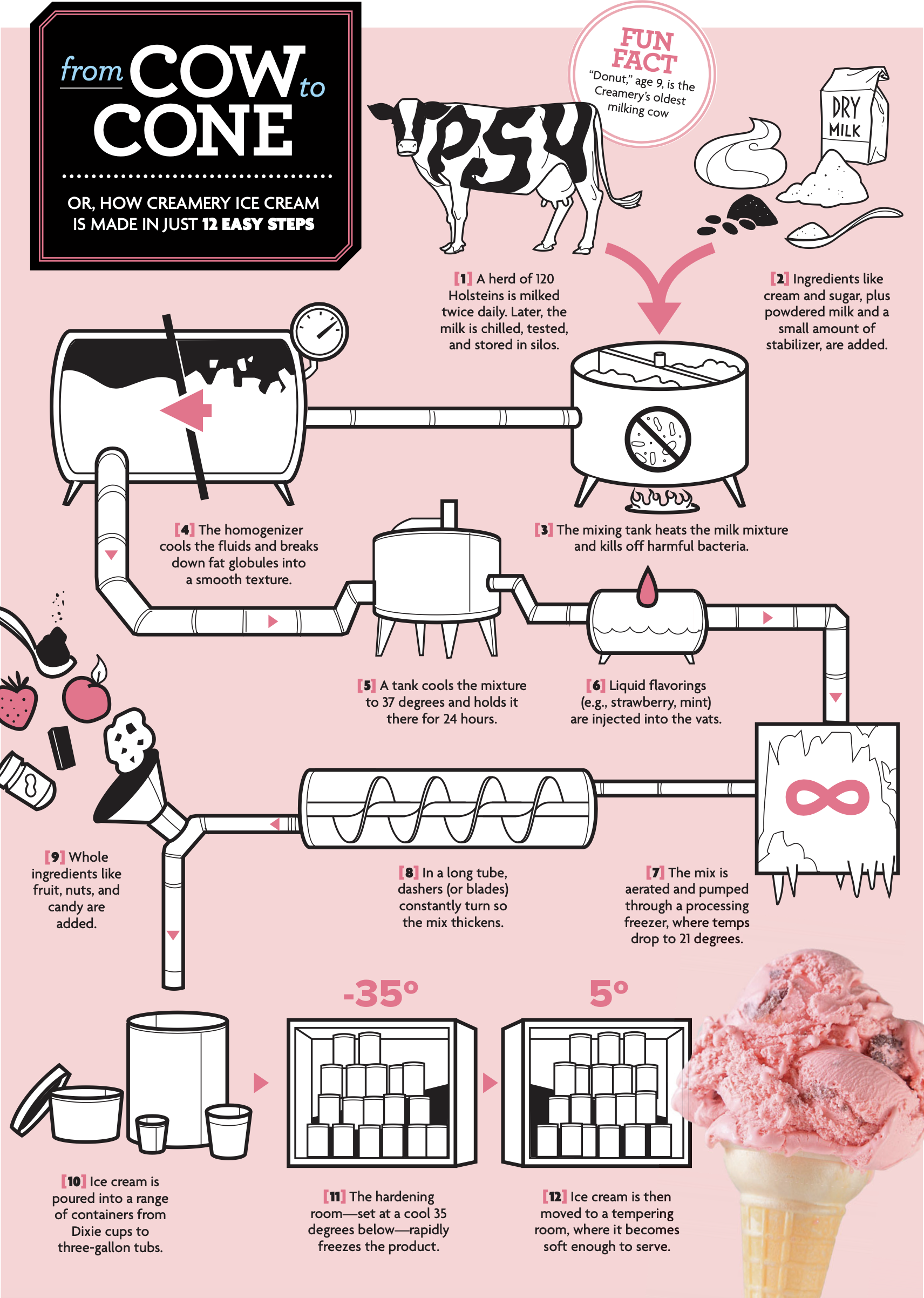 infographic of the 12 steps of making Creamery ice cream with illustrations by Charles Layton