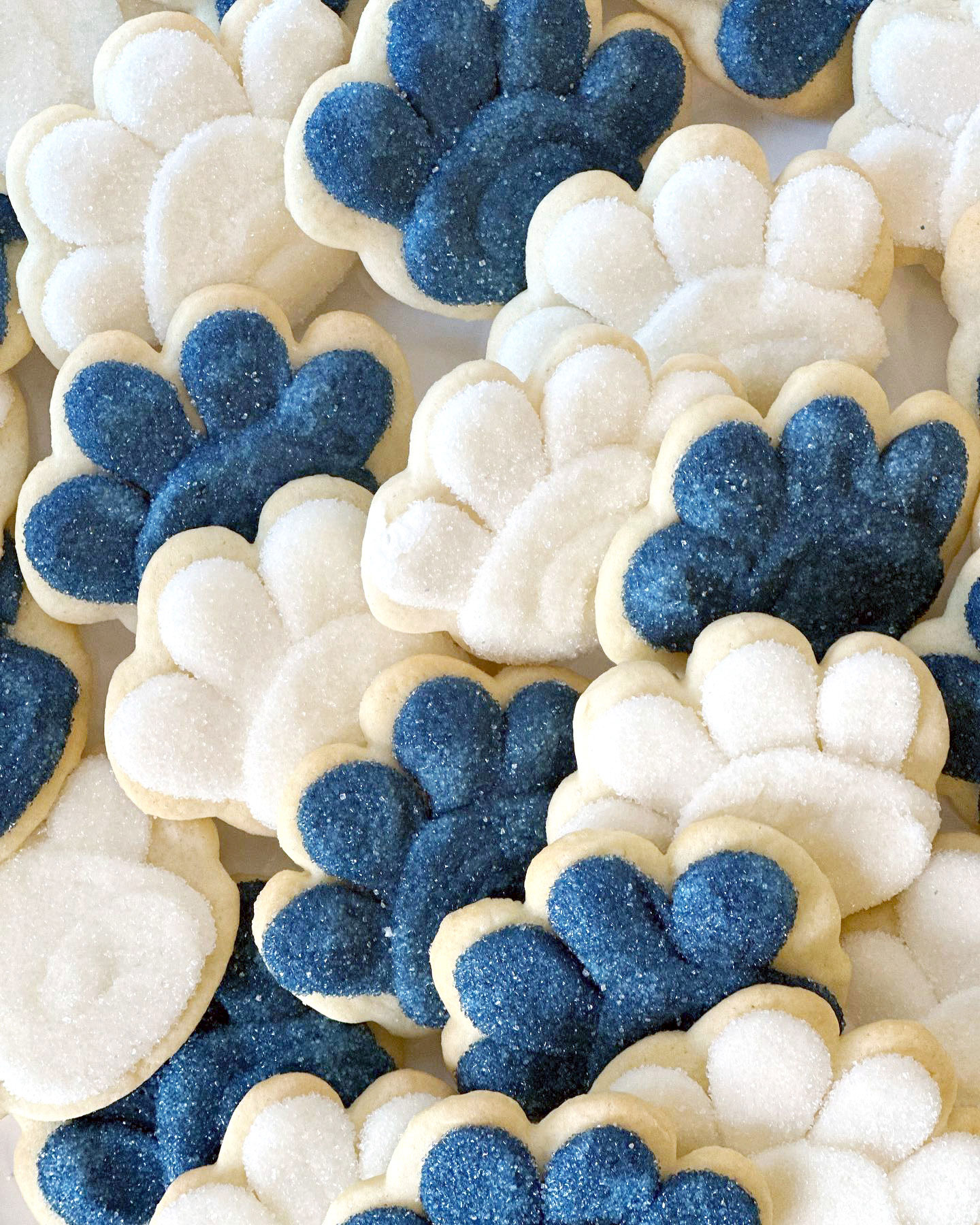 closeup of blue and white sugared cookies, courtesy