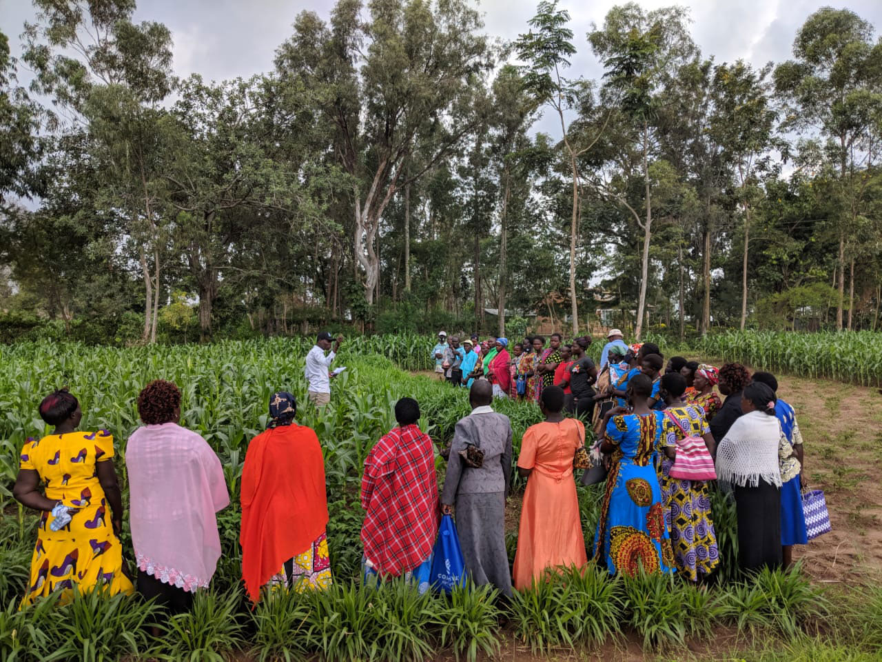 group of farmers standing in a field courtesy PlantVillage