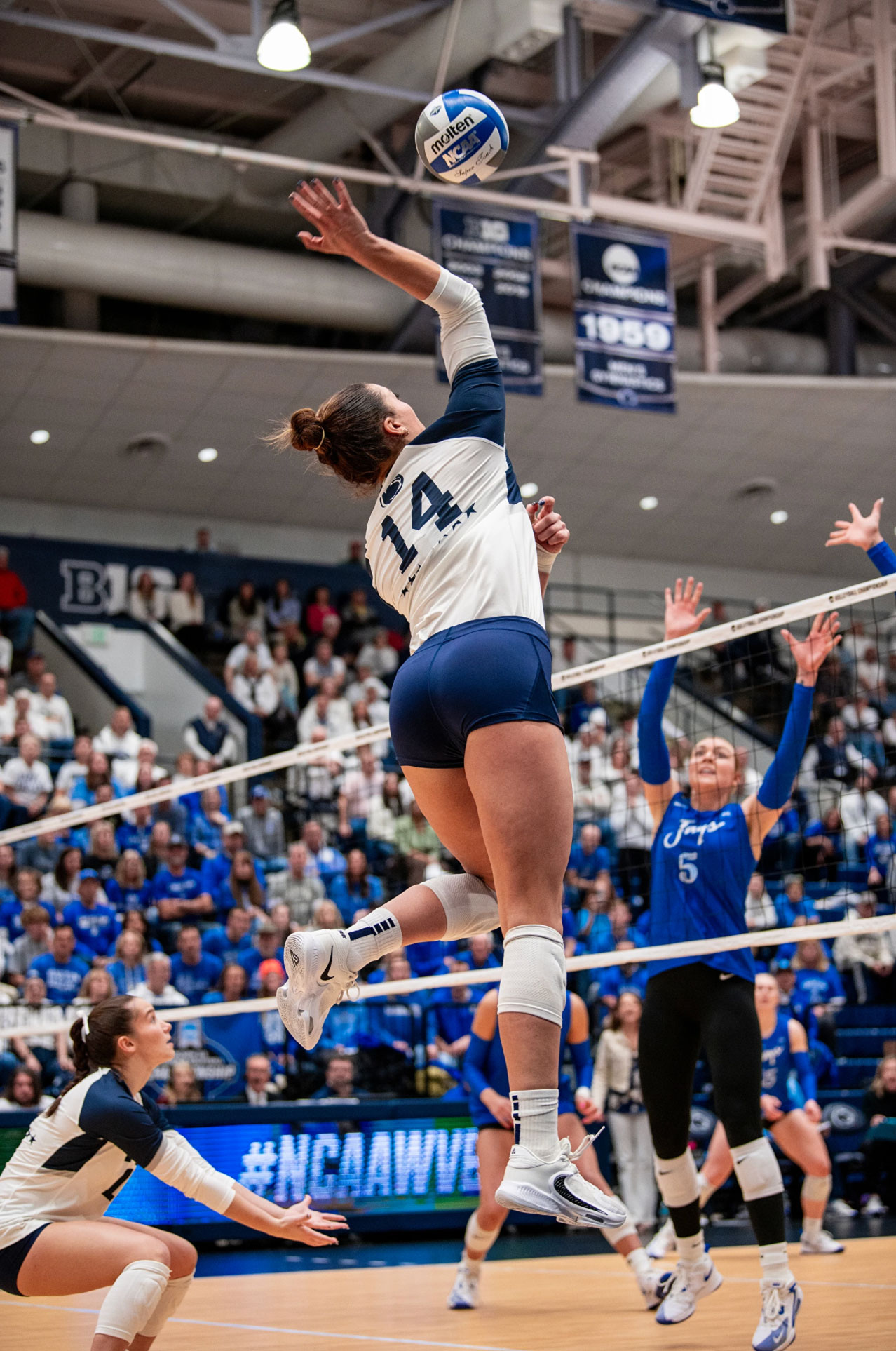 a Nittany Lion women's volleyball player jumps to return a shot, photo by Penn State Athletics