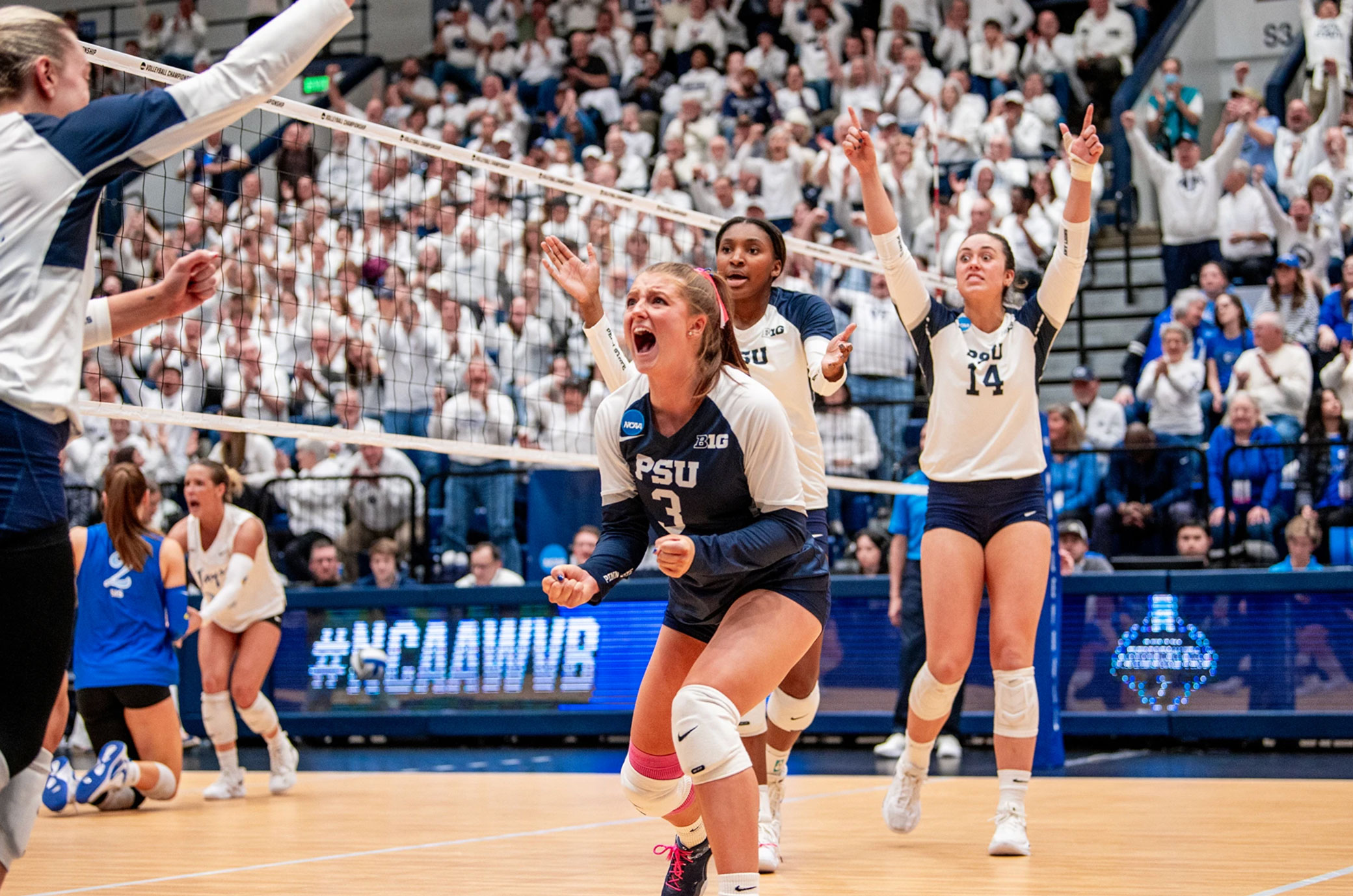 Nittany Lion women's volleyball players celebrate a great play, photo by Penn State Athletics