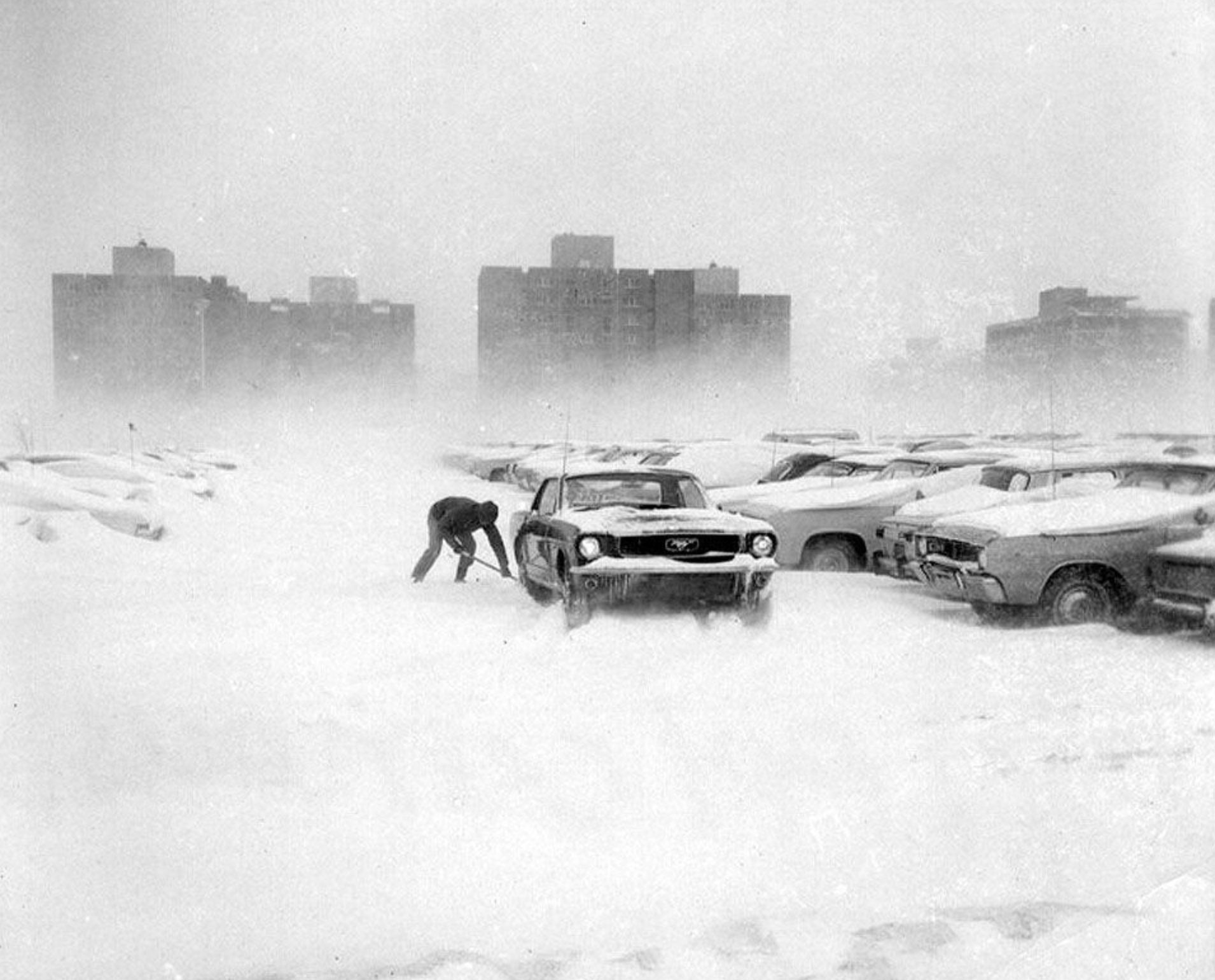 a person shoveling out a snow-covered Mustag in University Park's Lot 80
