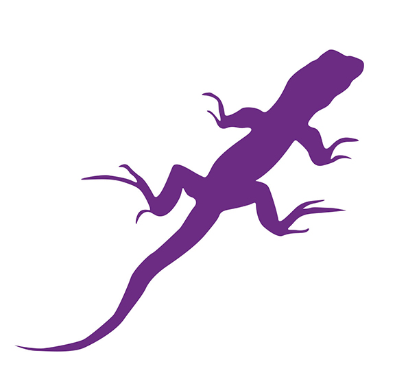 purple lizard logo courtesy