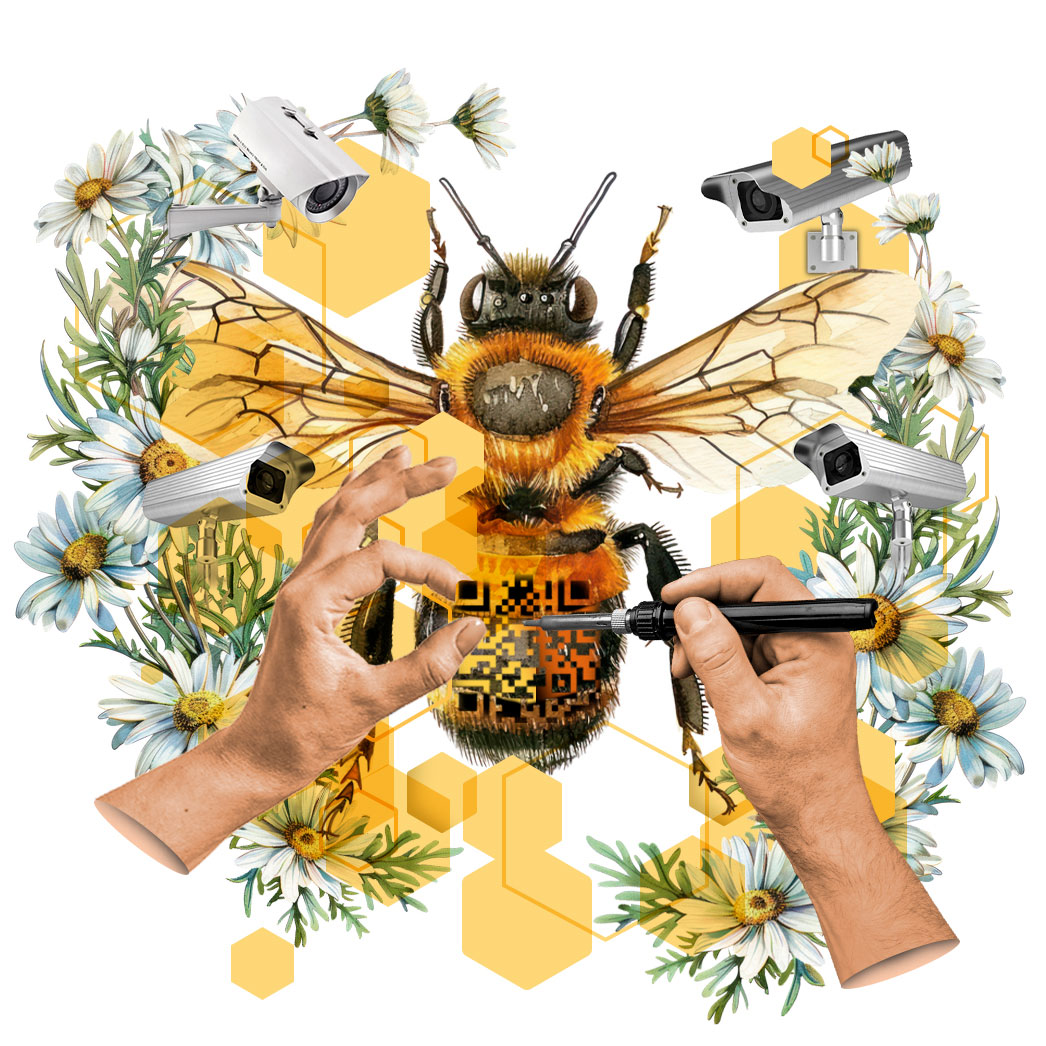 conceptual illustration of a bee receiving a QR code tag by Nadia Radic