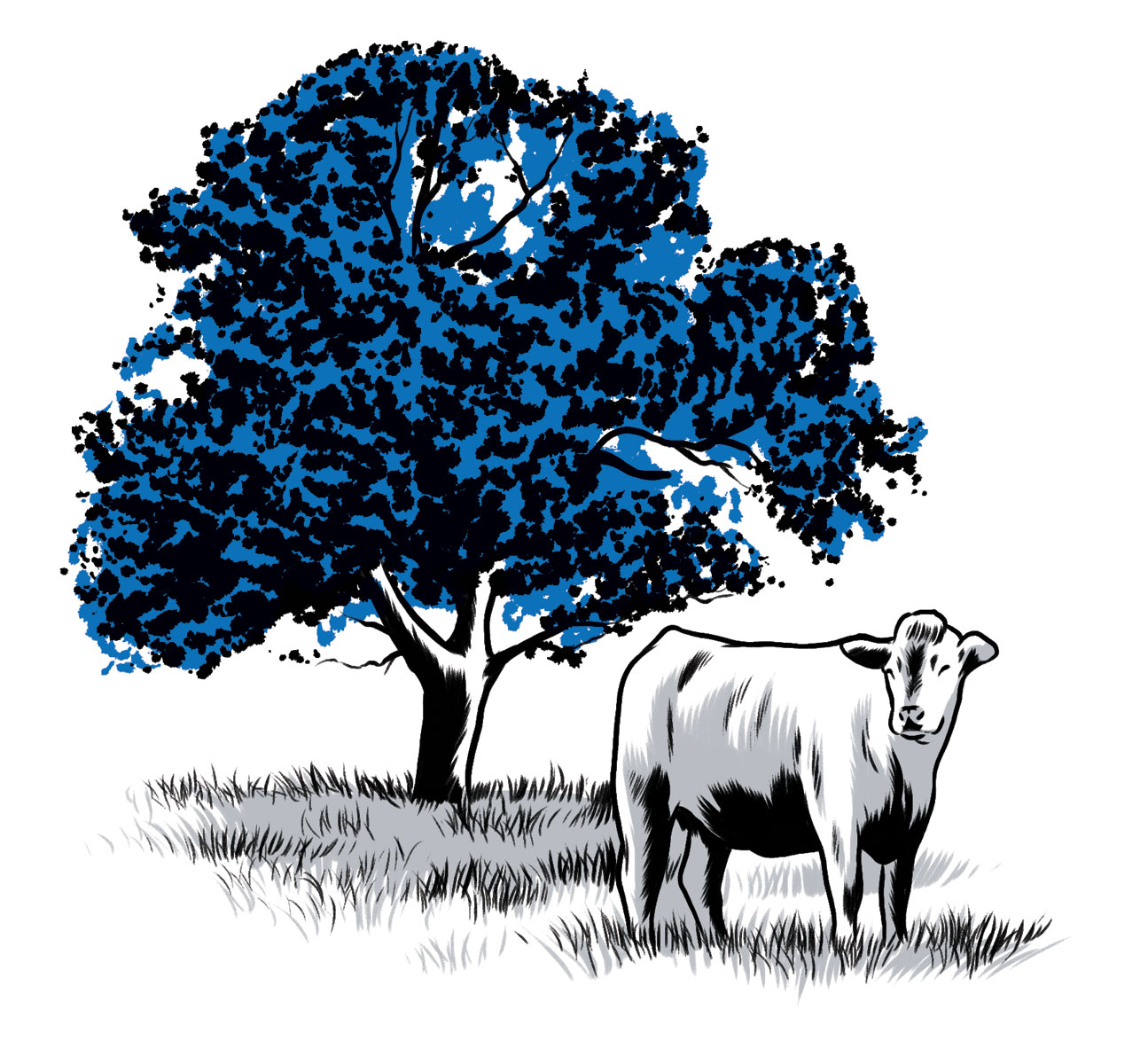 illustration of a cow in a field before a tall full tree by Joel Kimmel