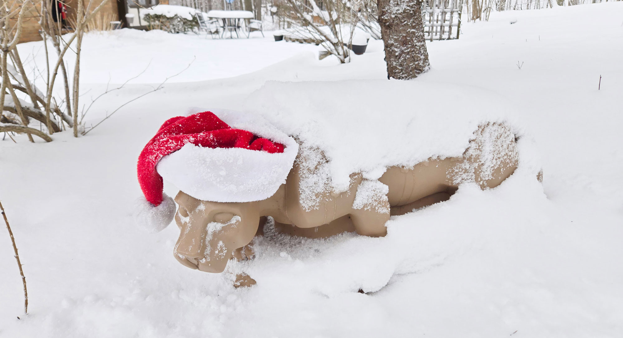 submitted photo of a Nittany Lion wearing a Santa hat in a snowy backyard, courtesy