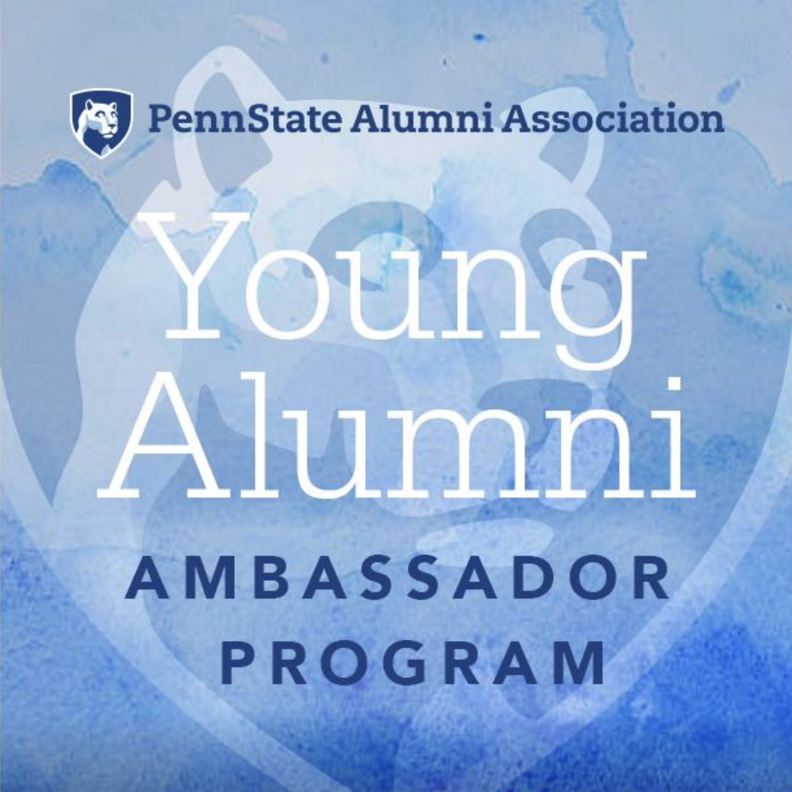 PSAA Young Ambassadors graphic