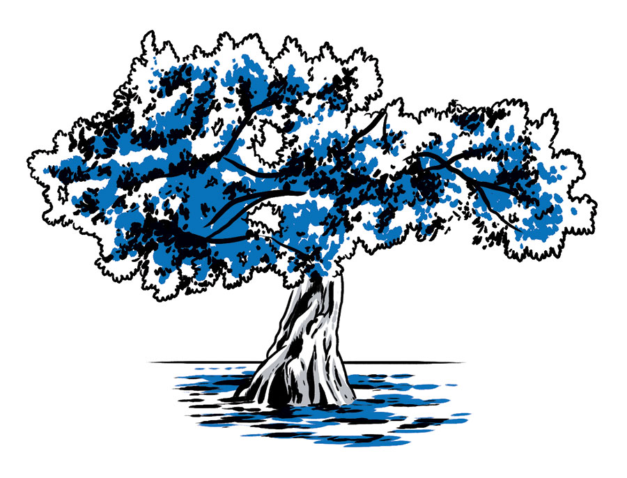 illustration of blue and white mangrove tree by Joel Kimmel