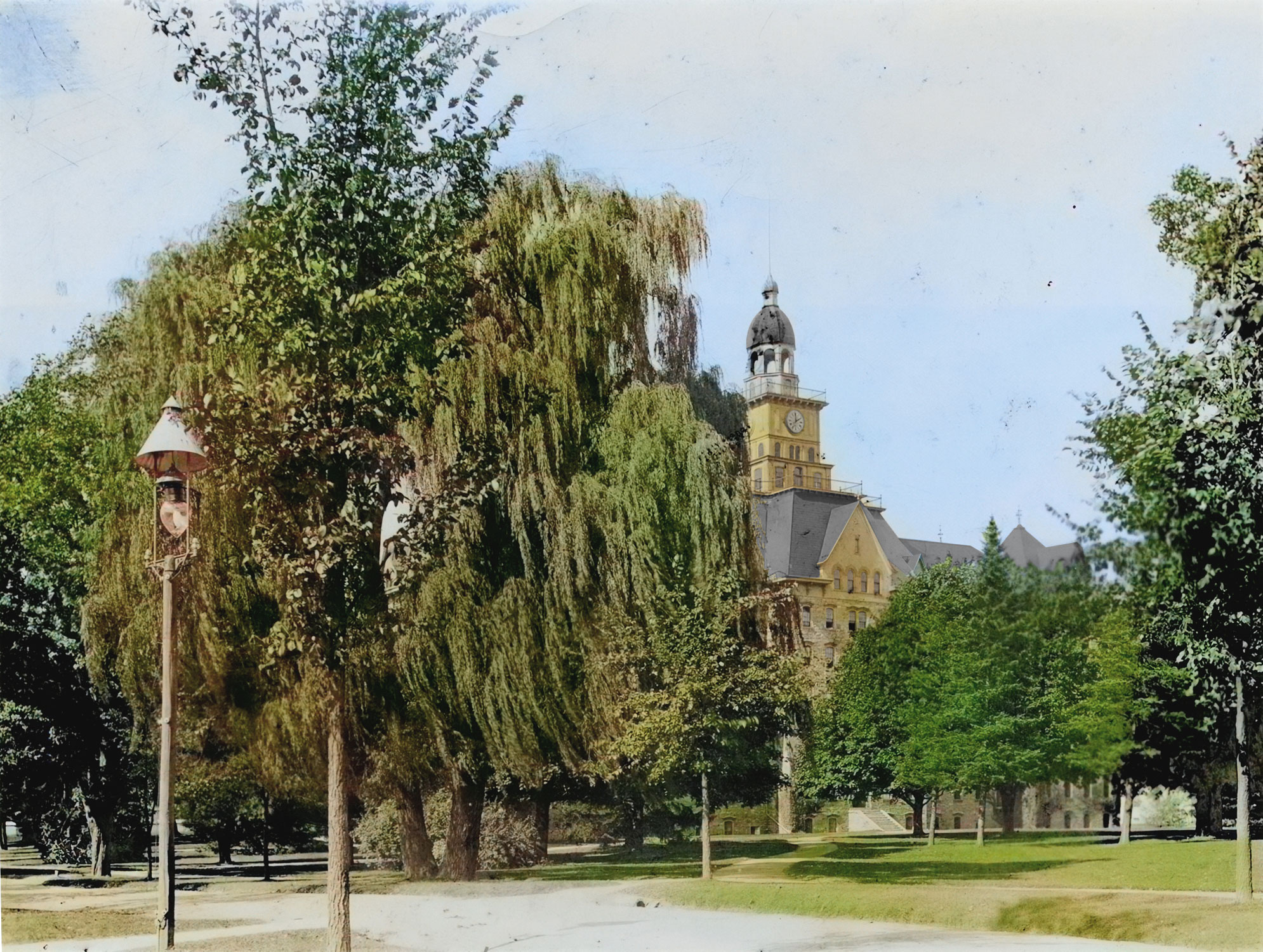 photo of Old Willow near Old Main by Nick Sloff '92 A&A