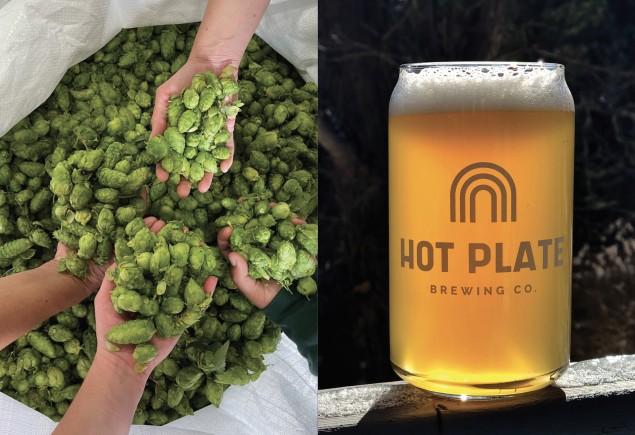 side by side photos of four handfuls of green hops and a Hot Plate Brewing Co. glass of amber beer, courtesy