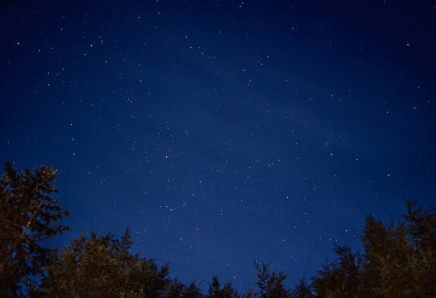 photo of a starry clear night sky framed by trees by Nick Sloff '92 A&A