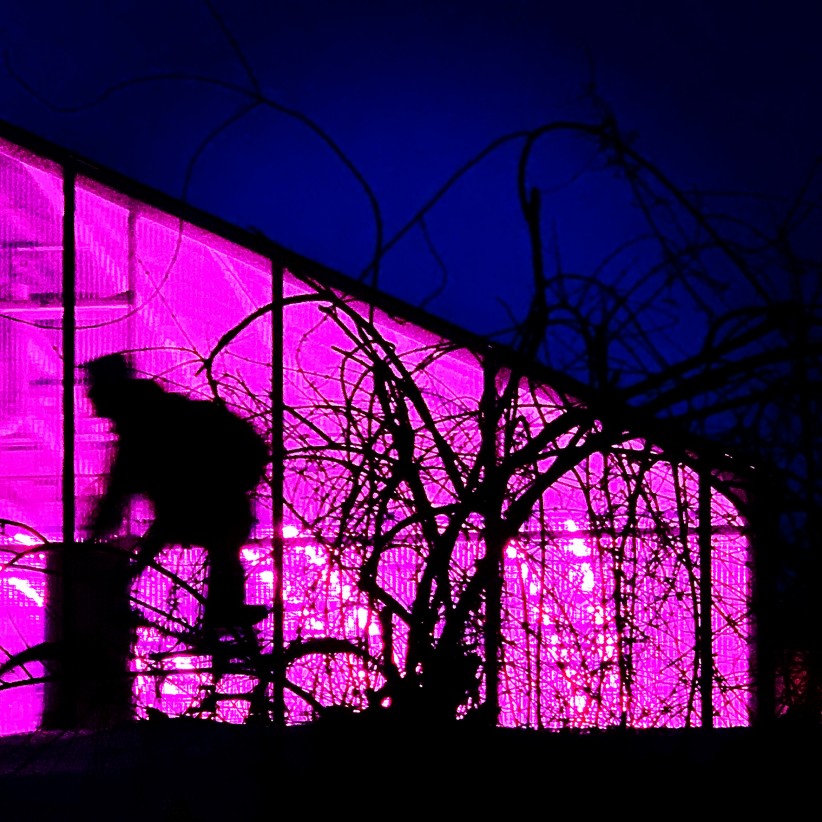 Greenhouse lights and bicyclist silhouette