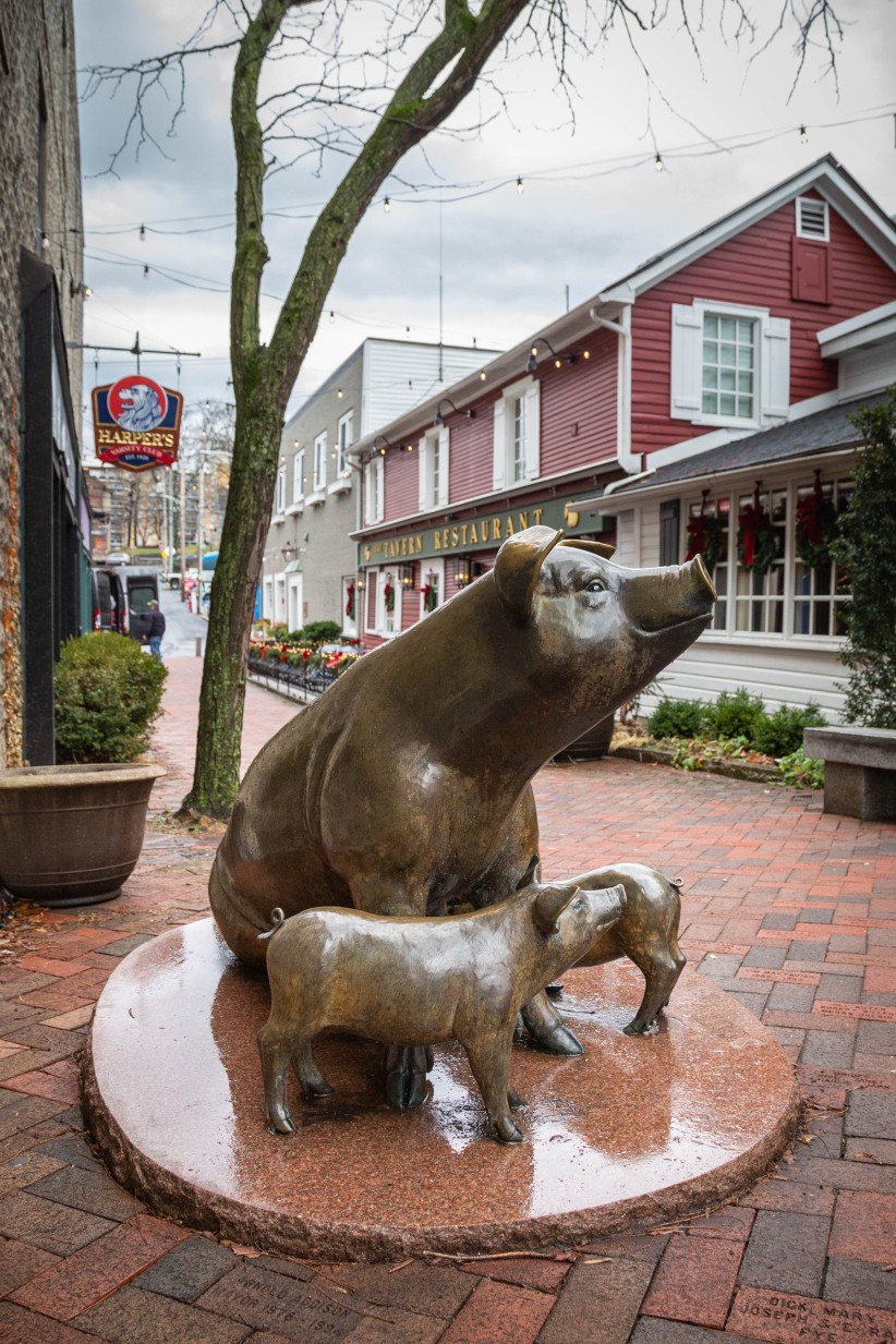 bronze statue of sow with piglets in McAllister Alley in State College, photo by Nick Sloff '92 A&A