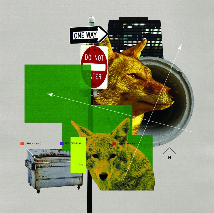 conceptual illustration of coyotes amid urban street signs and a dumpster by Stuart Bradford