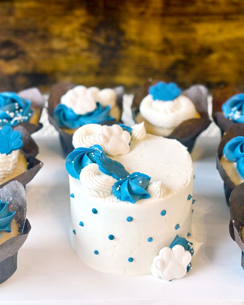closeup photo of small blue and white iced cakes, courtesy