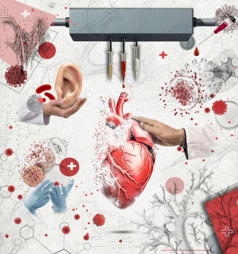 conceptual illustration of a human heart, ear, latex gloves, syringes, and other biomedical symbols by Nadia Radic