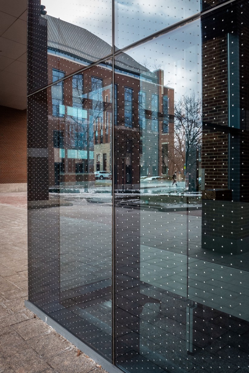 photo of bird safe glass window by nick Sloff '92 A&A