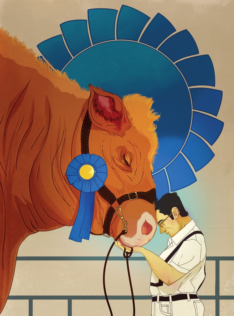illustration of a man pressing his forehead against the muzzle of a large cow wearing a blue ribbon, by Marcos Chin