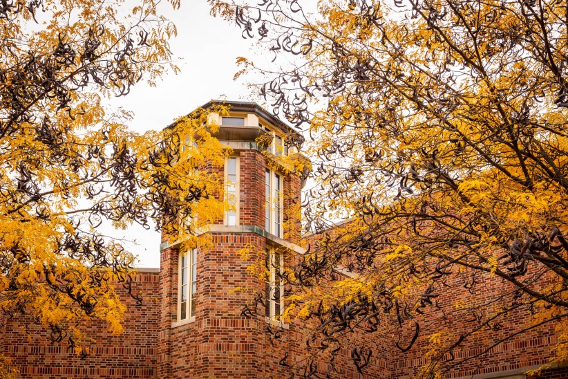 photo of trees yellowing in front of the Classroom Office Building by Nick Sloff '92 A&A