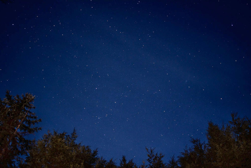 photo of a starry clear night sky framed by trees by Nick Sloff '92 A&A