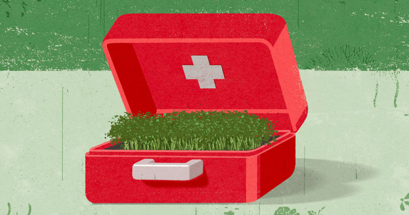 illustration of microgreens growing out of a first aid kit by Richard Mia