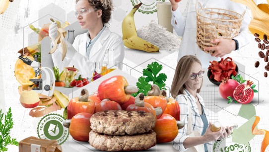 conceptual illustration of several scientists examining food products and an array of fresh food imagery by Nadia Radic