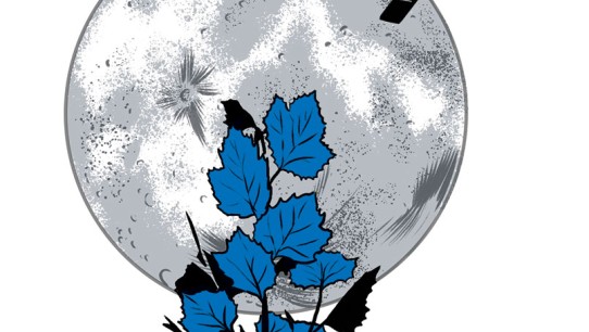 illustration of a potted sycamore tree growing towards moon by Joel Kimmel