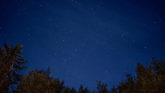photo of a starry clear night sky framed by trees by Nick Sloff '92 A&A