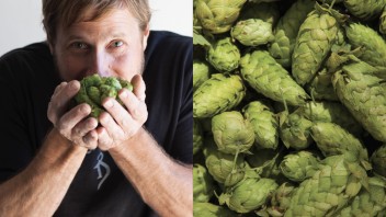 John Kimmich smelling a handful of bright green hops on the left and closeup of hops on the right, photo by Greta Rybus