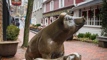 bronze statue of sow with piglets in McAllister Alley in State College, photo by Nick Sloff '92 A&A