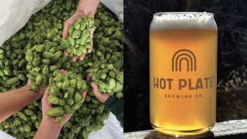 side by side photos of four handfuls of green hops and a Hot Plate Brewing Co. glass of amber beer, courtesy