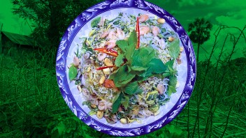 closeup of a shrimp and rice dish on blue and white plate with green-washed background photo of woods, courtesy