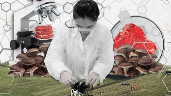 illustration of a geneticist in a lab coat with microscope, cows, mushrooms, and burger meat, by Nadia Radic