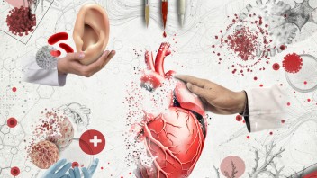 conceptual illustration of a human heart, ear, latex gloves, syringes, and other biomedical symbols by Nadia Radic