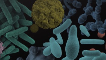 microscopic view of microorganisms, courtesy
