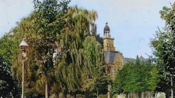 photo of Old Willow near Old Main by Nick Sloff '92 A&A