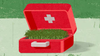 illustration of microgreens growing out of a first aid kit by Richard Mia