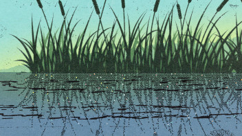 illustration of marshes with underwater roots pixelated by Richard Mia
